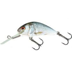 Salmo Wobler Hornet Sinking Real Dace-2,5 cm 1,5 g