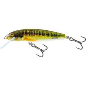 Salmo Wobler Minnow Floating Holo Real Minnow-5 cm 3 g