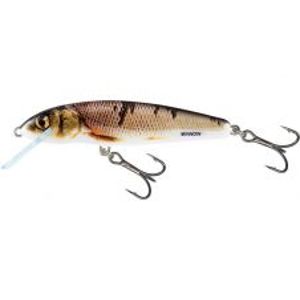 Salmo Wobler Minnow Floating Wounded Dace-7 cm 6 g